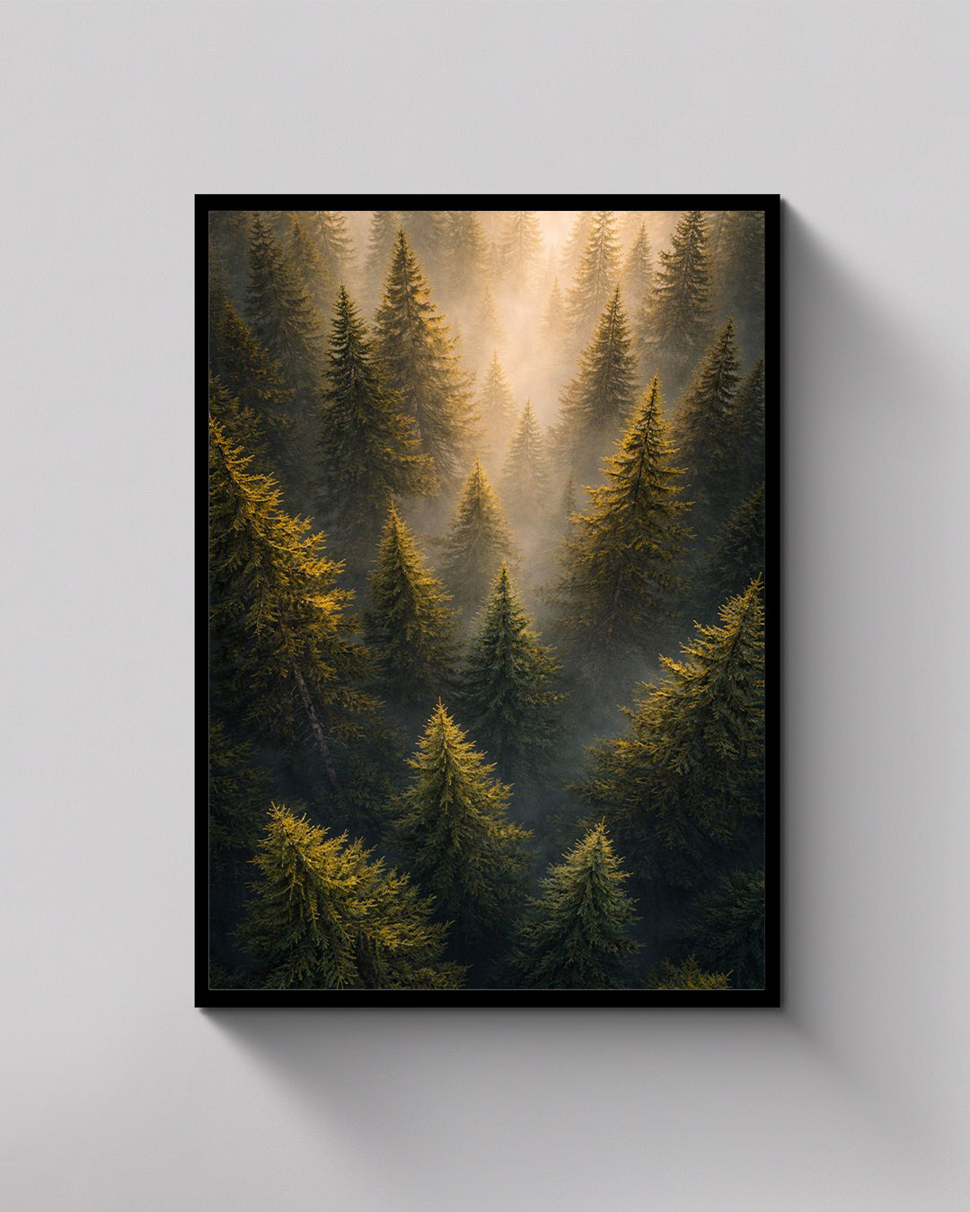 Misty Forest Light